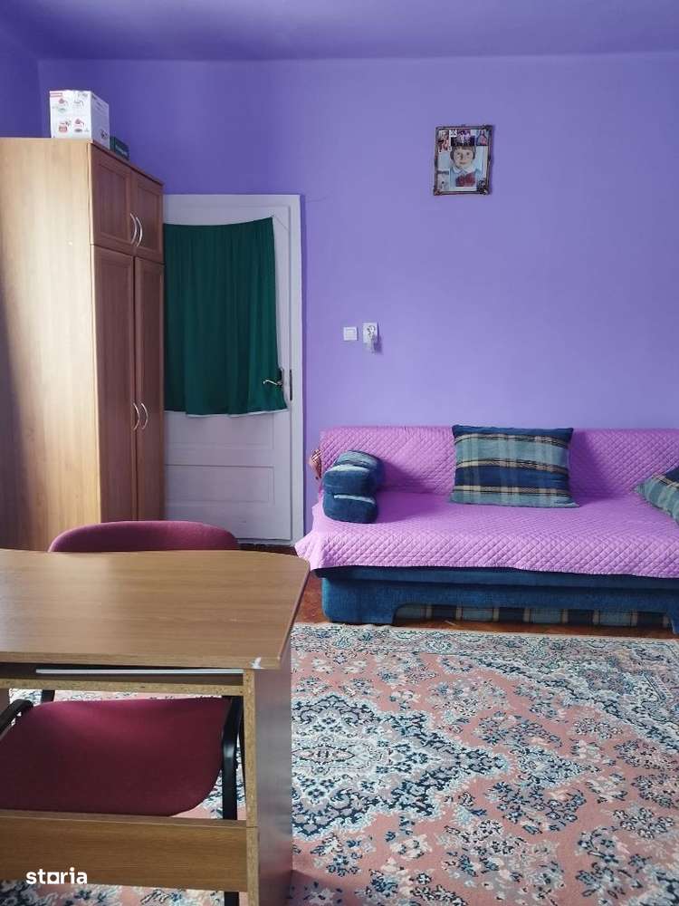 Baita Baii, casa solida, anexe, 30 ari - Imagine principală: 5/9