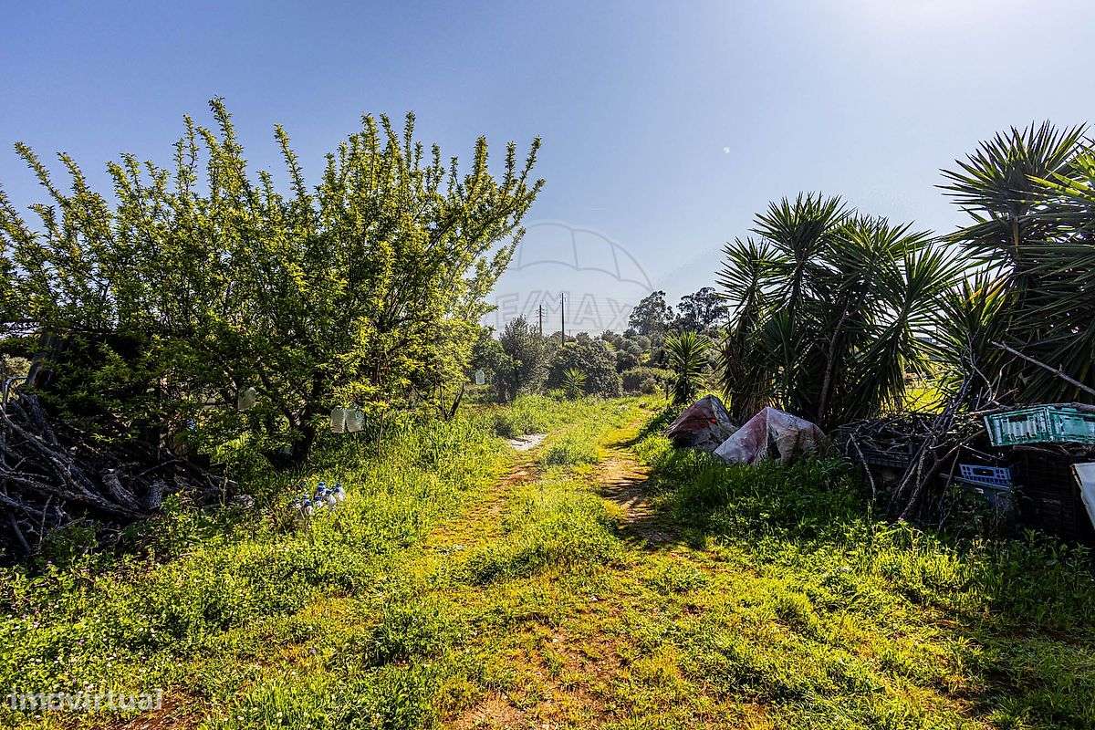 Terreno  para venda - Grande imagem: 5/41