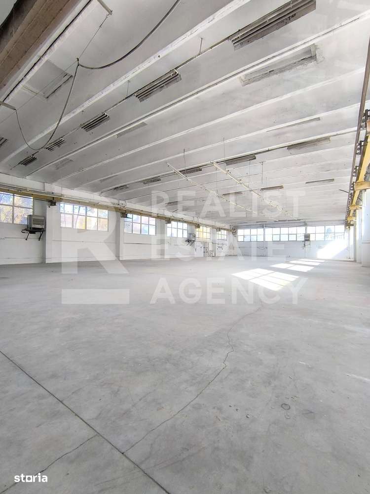 Hală de vânzare – Parcul Industrial Tohanul Vechi, Zărnești - Imagine principală: 5/11