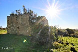 Ruína em lote de Terreno com 5.88 hectares - Bemposta ( SI 1818 )