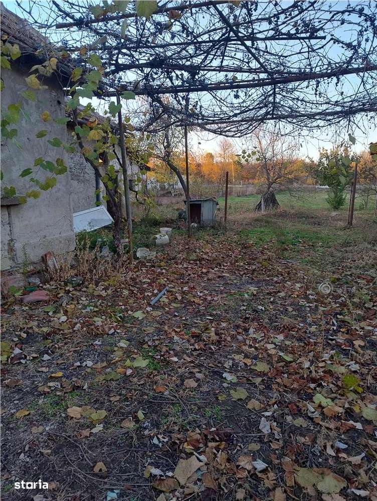 RECO Casa 3 camere, Alparea - Imagine principală: 4/6