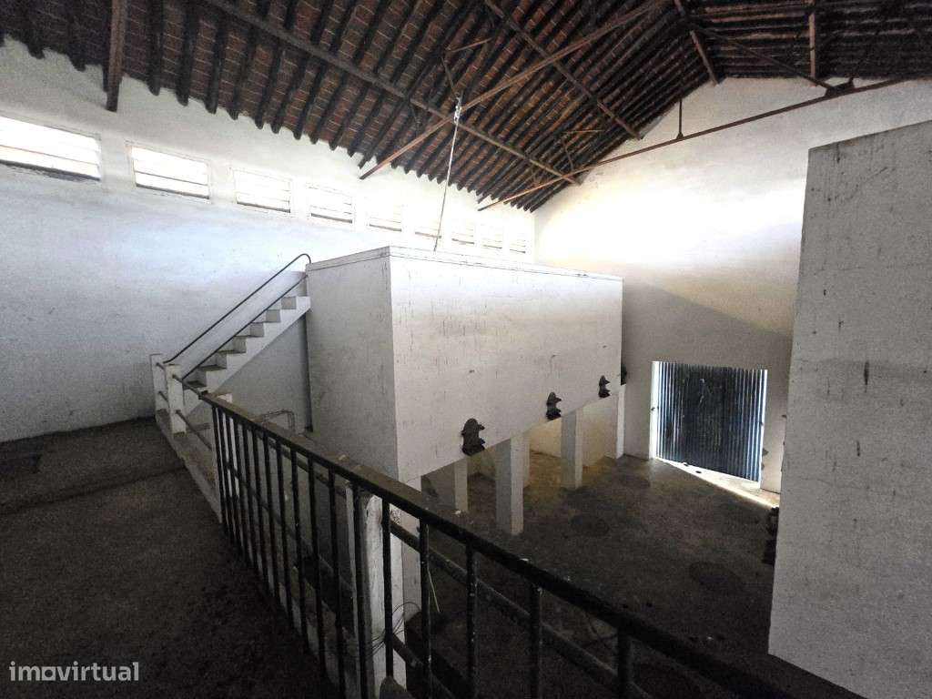 Antiga Adega com Grande Potencial no Centro de Campo Maior - Grande imagem: 5/15