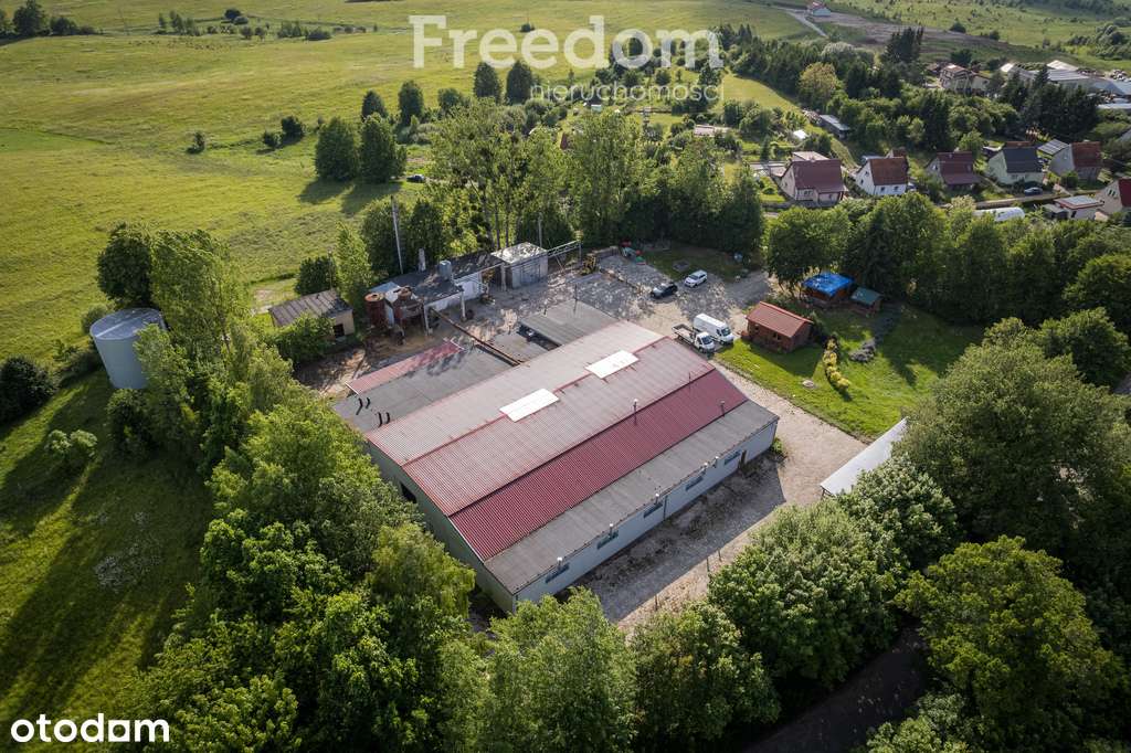 Ramsowo - gotowa hala produkcyjno-magazynowa - Pełny obrazek: 2/11