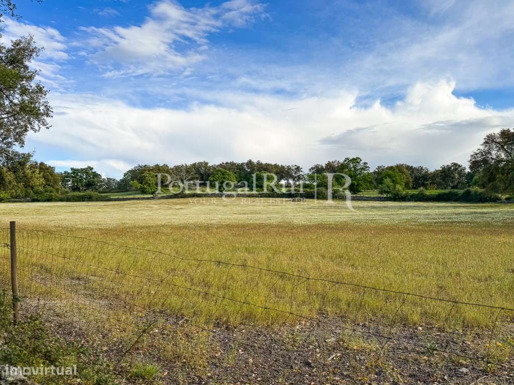 Quinta de 10 ha com projeto aprovado para 2 moradias em Marvão-51