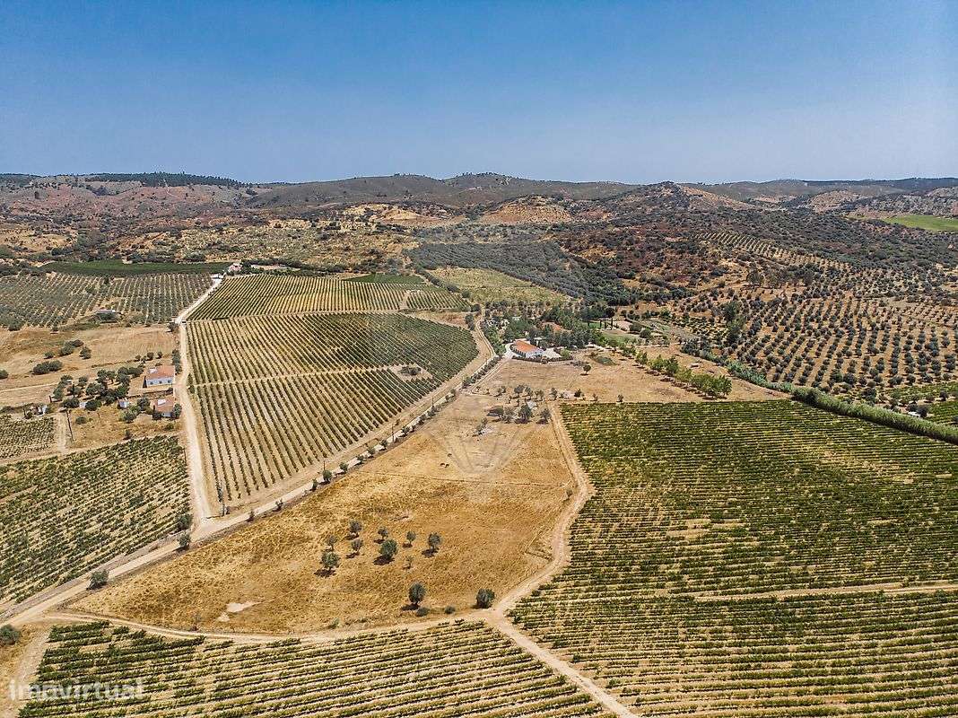 Quinta T7 para venda - Grande imagem: 2/50