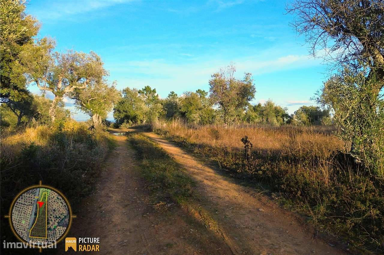 Terreno Plano 6.700m² c/ Vistas Panorâmicas – Salgueiro do Campo-8