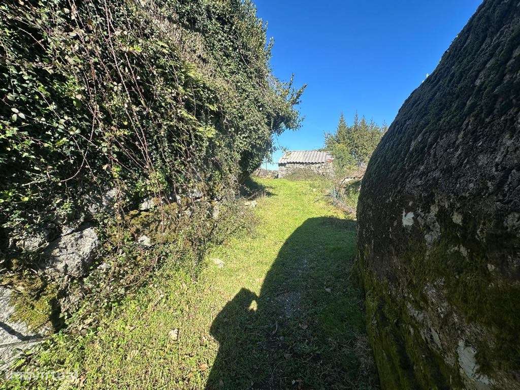 Casa de campo, em Bico - Grande imagem: 5/16