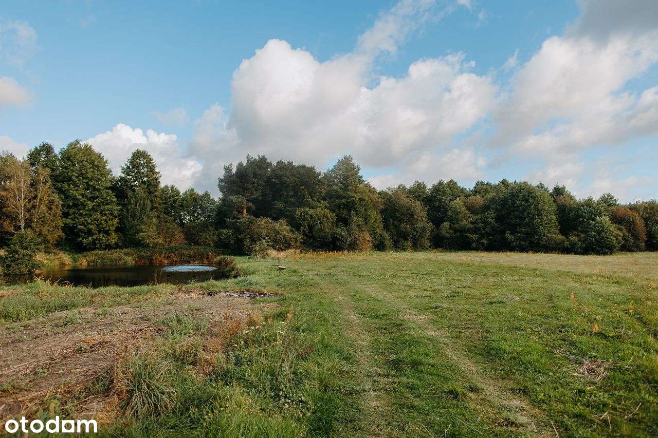 Tury - działki budowlane przy lesie - Pełny obrazek: 5/8