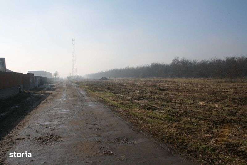 teren zona selgros  damila capsunarie vama craiova - Imagine principală: 4/8