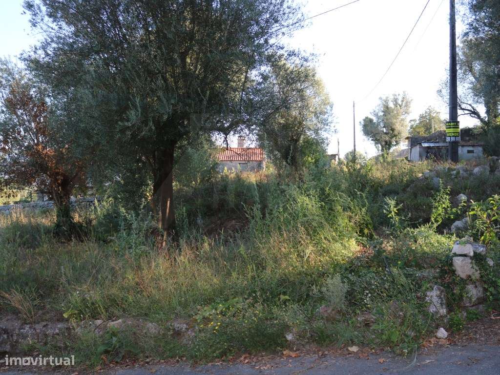 Terreno para construção na Gandra - Grande imagem: 2/6