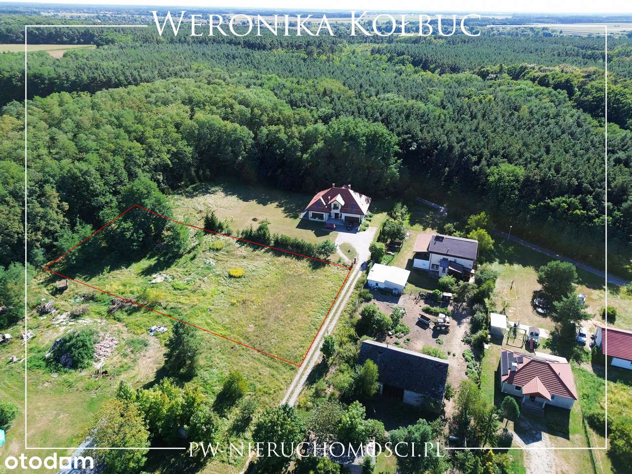 Piękna działka przy lesie. Kanalizacja, światłowód. - Pełny obrazek: 4/11