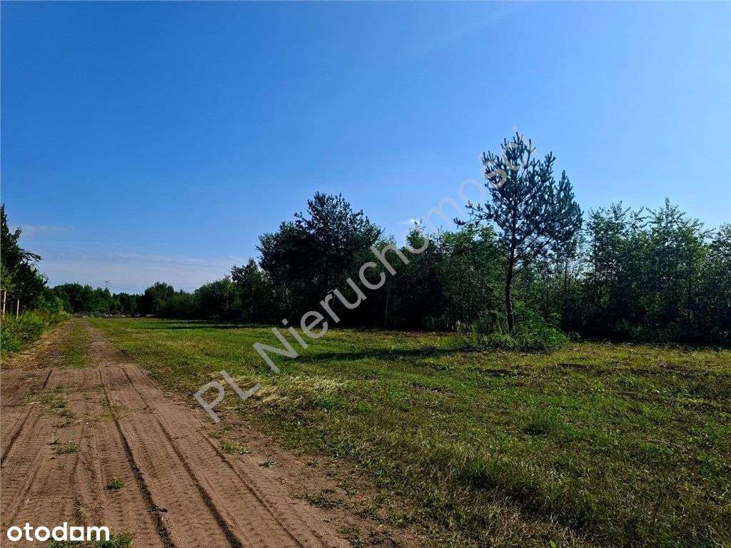 Działki budowlane blisko Halinowa - Pełny obrazek: 4/12