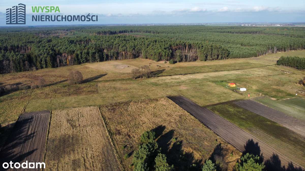 ⭐⭐⭐Rekreacja/Perspektywa/Własność⭐⭐⭐-0