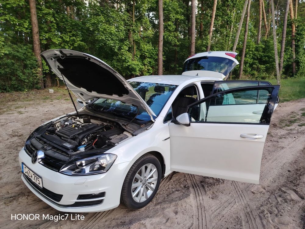 Volkswagen Golf VII 1.2 TSI BlueMotion Technology DSG Lounge 2016