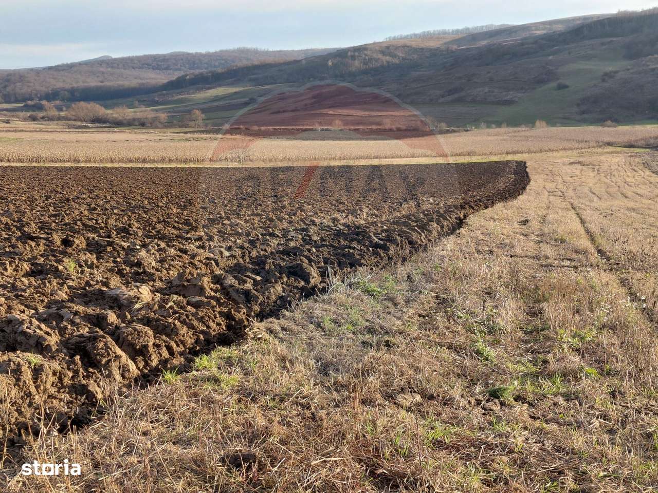 Teren 7,200mp Secuieni / DN Principala - Imagine principală: 2/4