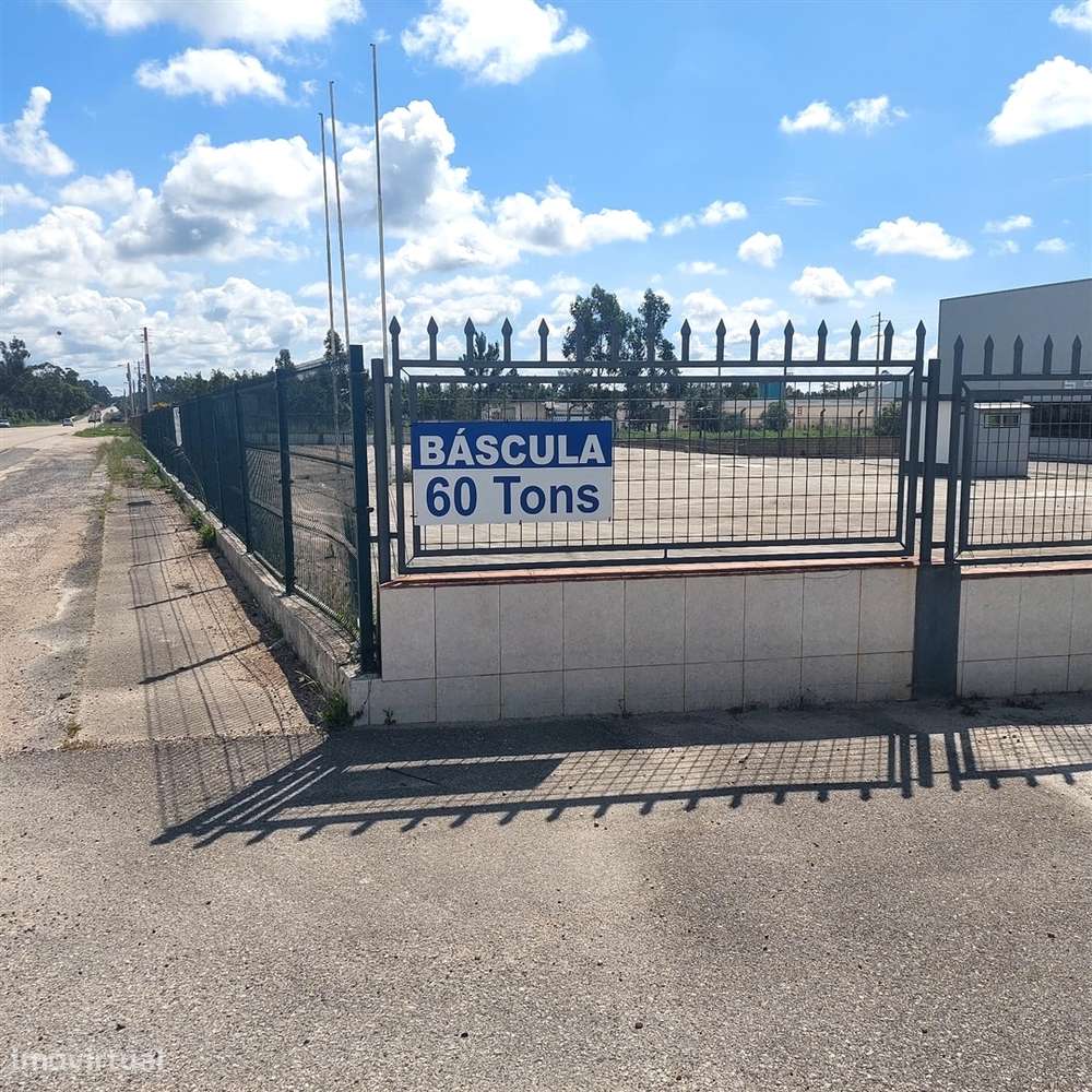 ANG1353 - Terreno para Arrendamento em Ataija de Cima, Aljubarrota - Grande imagem: 5/5