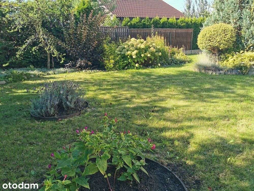Dom z dużą działką, Witaszyce koło Jarocina-17