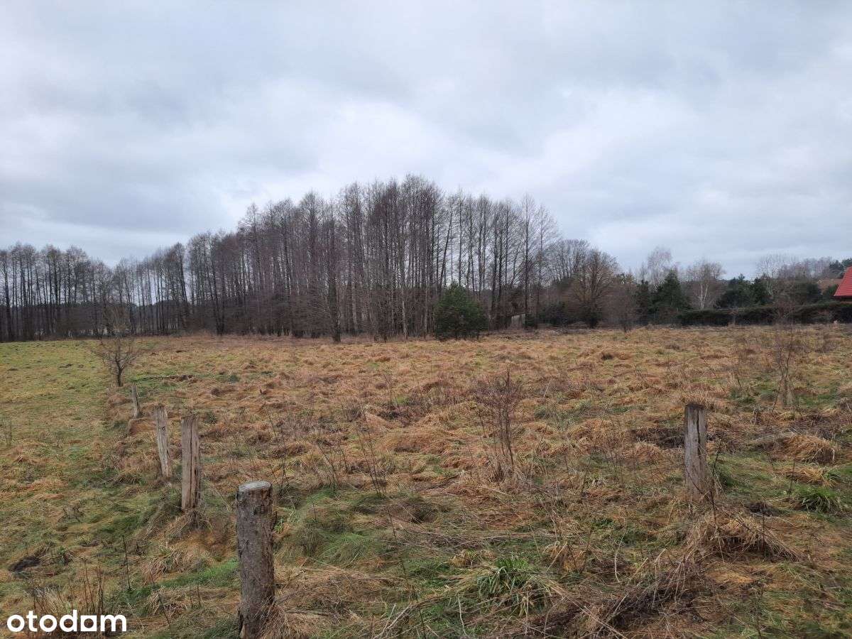 Działka blisko Jeziora Jeziorak - Pełny obrazek: 4/9