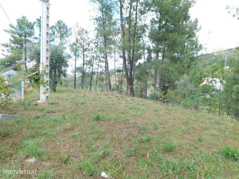 Lote / Seia, Seia, São Romão e Lapa dos Dinheiros - Grande imagem: 5/11