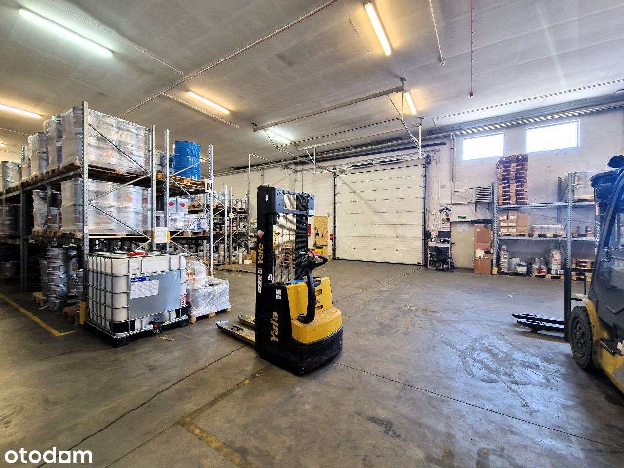 0k. 1000m2 hala/magazyn, biura-czytelna lokalizacja - Pełny obrazek: 5/13
