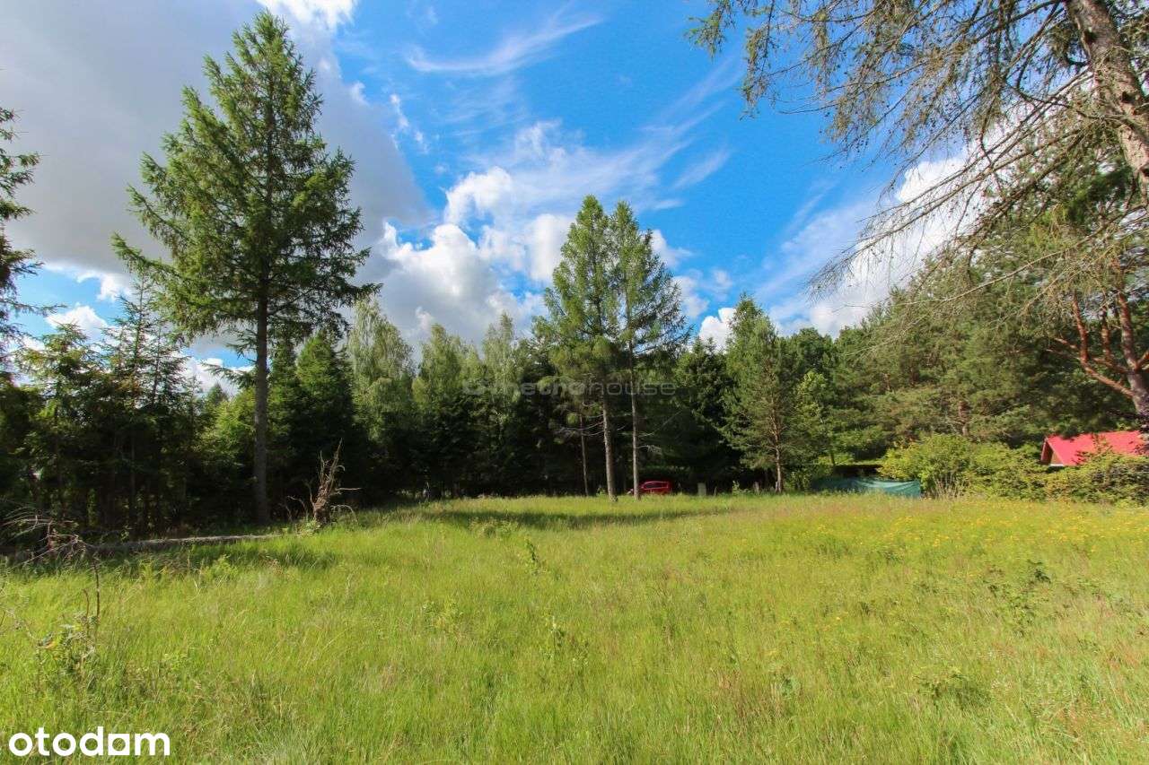 Na sprzedaż działka w miejscowości Brzeźno. - Pełny obrazek: 5/9