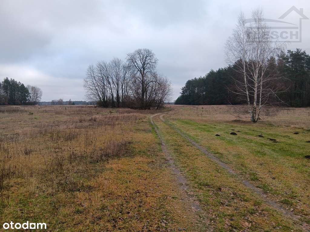 Bardzo ładna działka 12ha  Podlindowo Gm Mszczonów-3