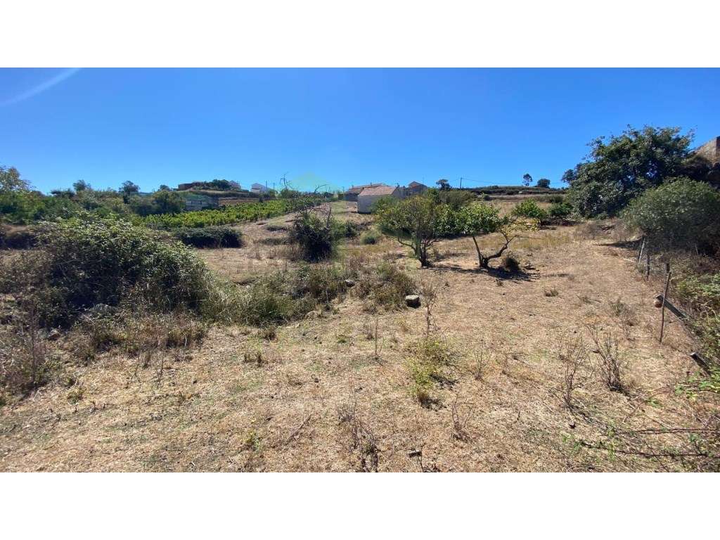 Terreno - Ericeira 12 km, A Casa das Casas - Grande imagem: 5/9