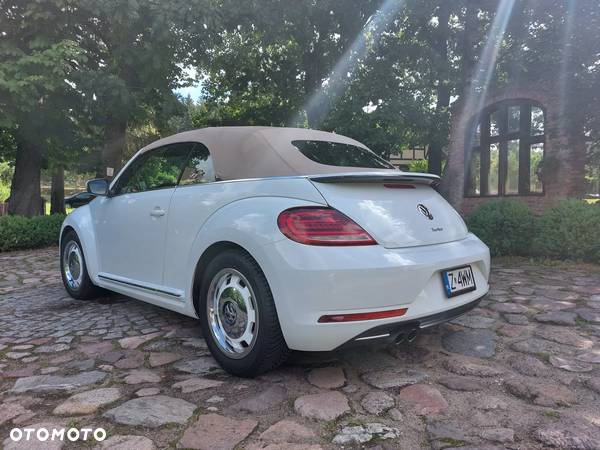 Volkswagen Beetle - 7