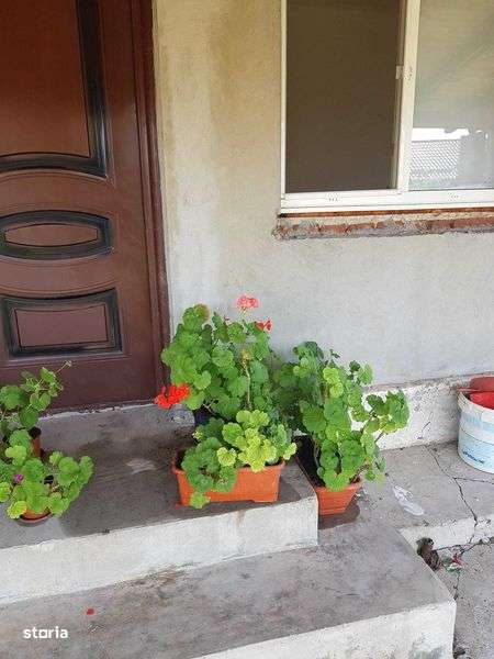 Teren + casa  27 Km de CRAIOVA - Imagine principală: 4/8