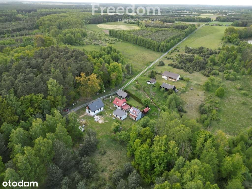 Dom w sercu parku krajobrazowego - Pełny obrazek: 5/20