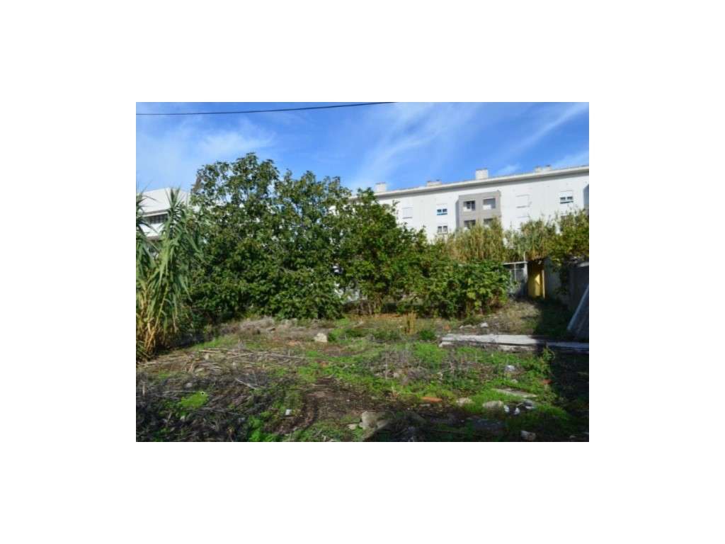 Terreno Rústico - Ajuda - Grande imagem: 4/12