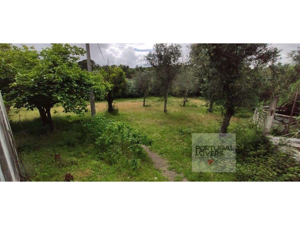 Quinta com várias construções terreno 2874 m2 Galveias (Ponte de Sor)-14