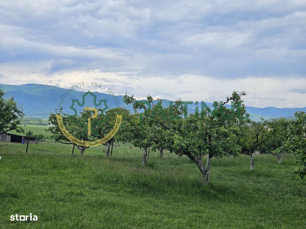 Teren 5.000 mp cu priveliște superbă – Cisnădie, Sibiu - Imagine principală: 4/5