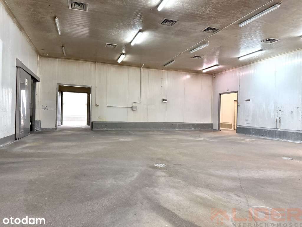 budynek 2 000 m² z pełnym zapleczem i mediami-15