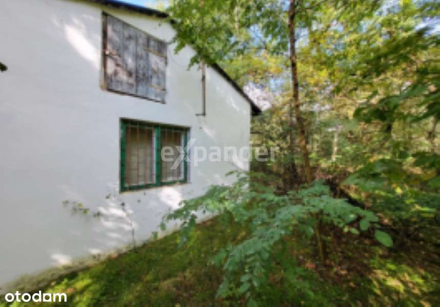 Spokojne działki w Lesie - Siedlisko - Pełny obrazek: 5/6