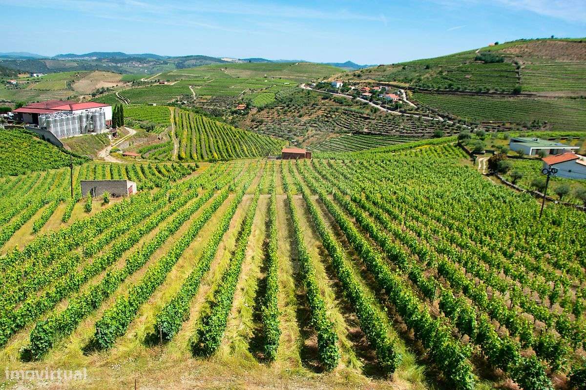 Quinta  para venda - Grande imagem: 4/48