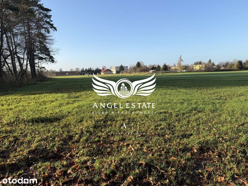 10/17760/OGS - Pełny obrazek: 5/5