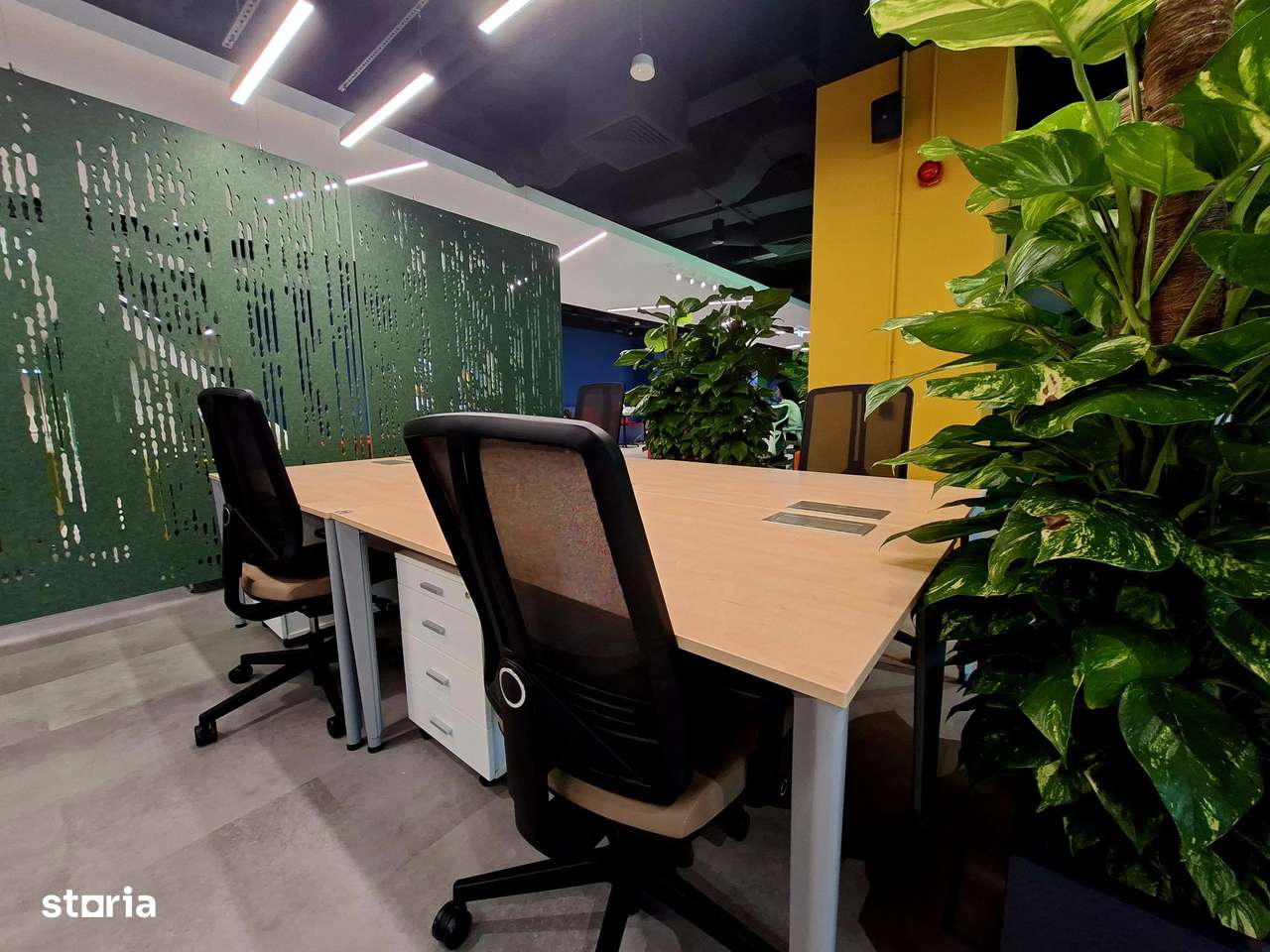 Birouri flexibile - Supertree Workspaces - Imagine principală: 1/7