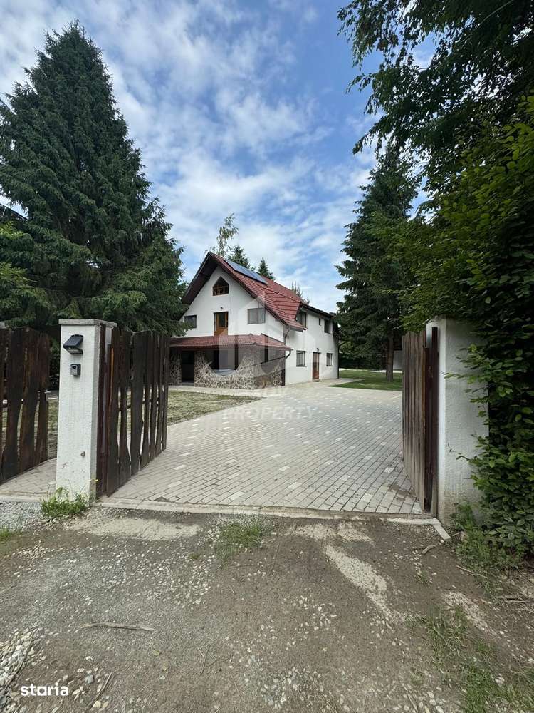 Pensiune/ Vila Valea Avrigului-5