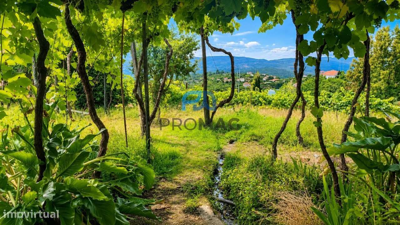 Quinta T6 em São Martinho de Mouros-45