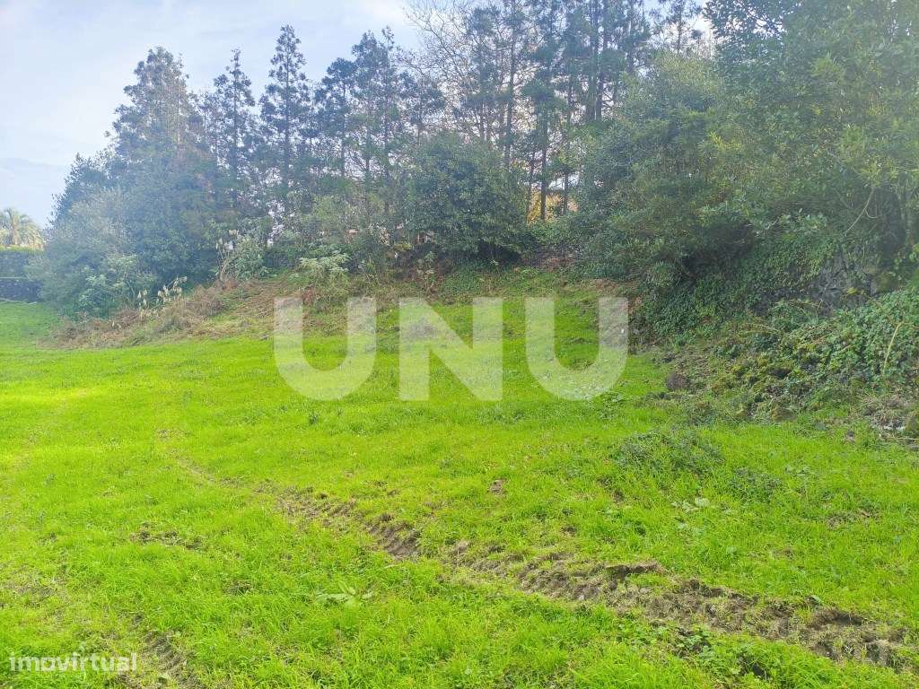 Terreno Rústico- Capelas-6