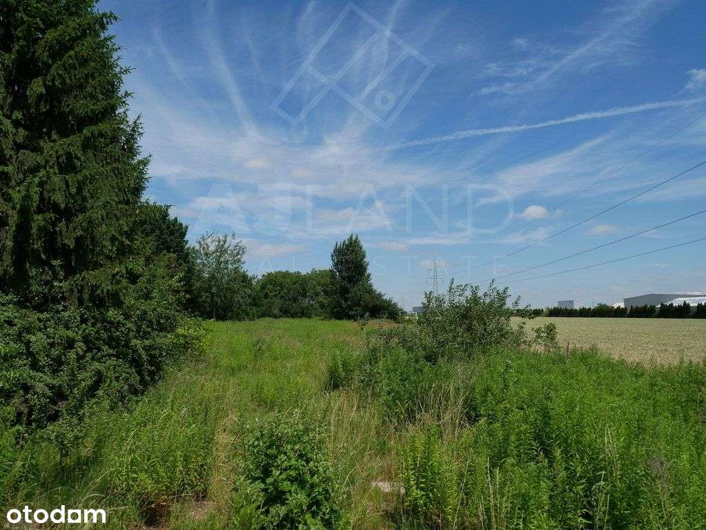 Działka, 25 000 m², Zalasewo - Pełny obrazek: 4/7