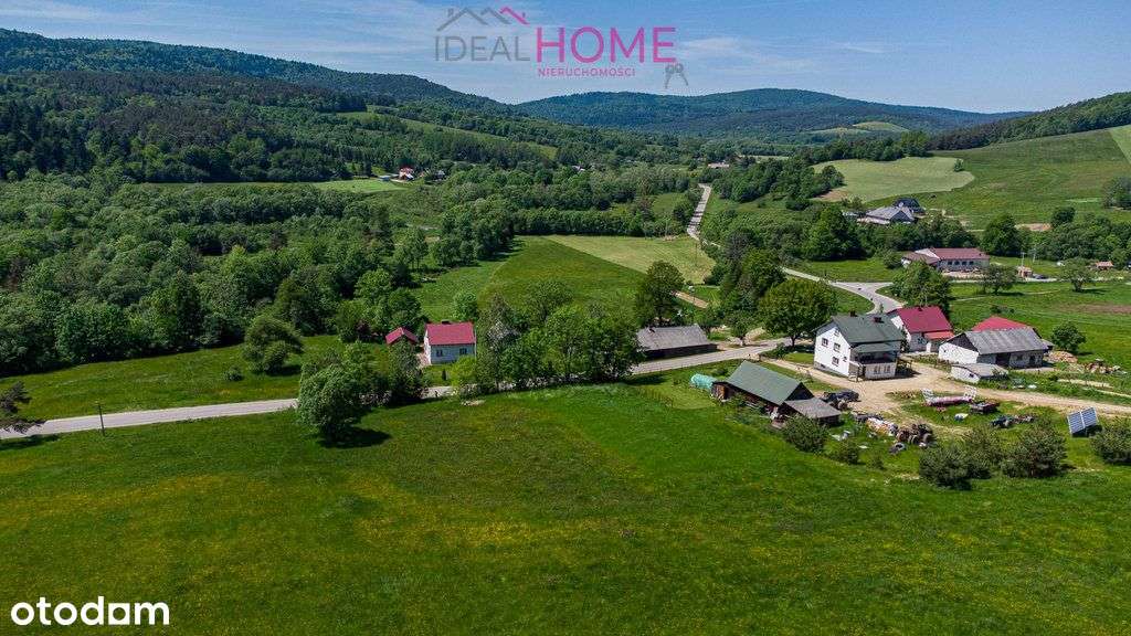 Działka Kotań z możliwością zabudowy - ostatnia - Pełny obrazek: 2/14