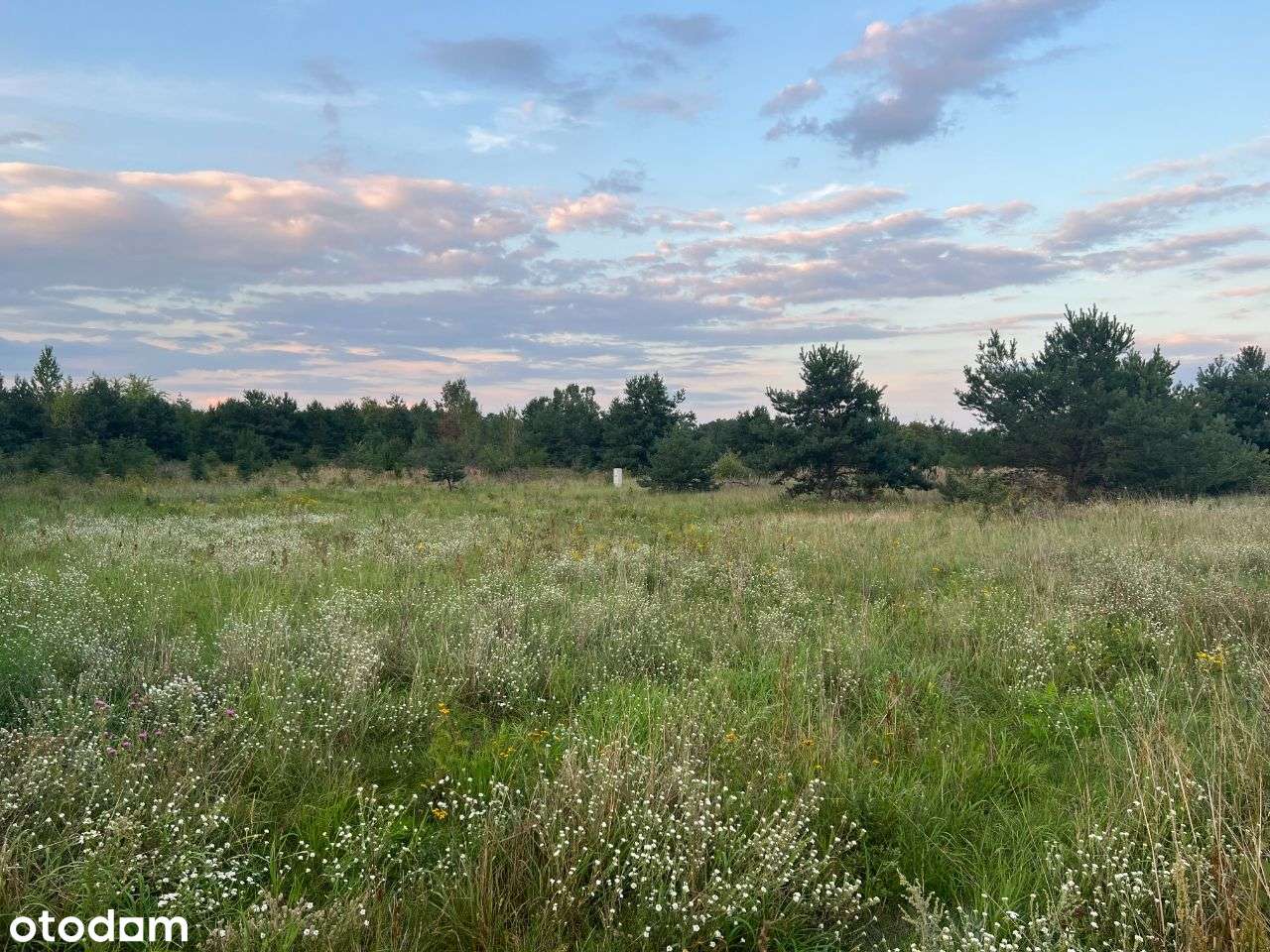Działka Łochowo 1327m2, cena: 269.000zł - Pełny obrazek: 1/4
