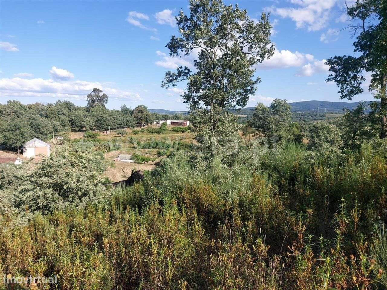 Terreno Rústico / Fundão, Pêro Viseu - Grande imagem: 2/2