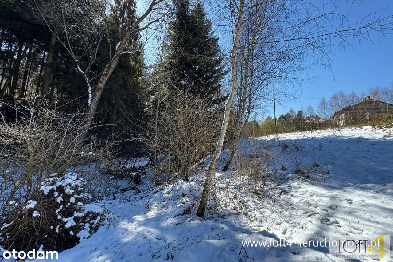 Duża działka na granicy z Sączem w Januszowej - Pełny obrazek: 4/14
