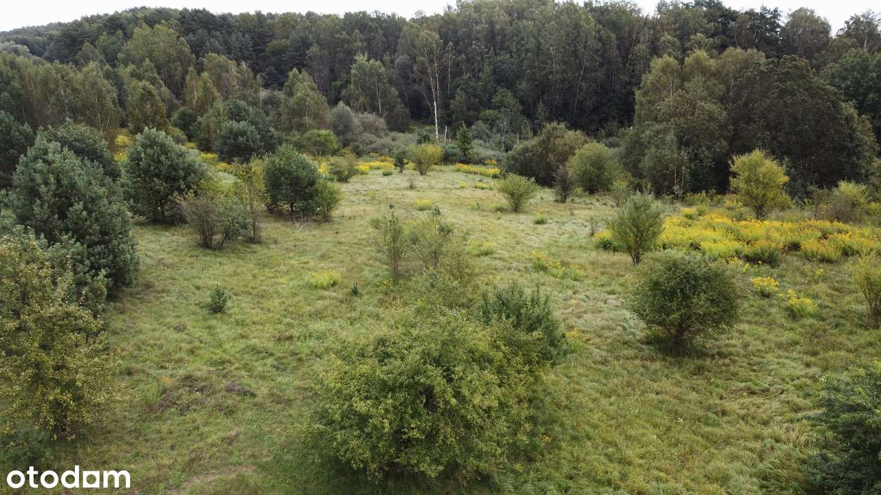 Kieźliny - działka budowlana z MPZP - 3030m2 z widokiem na las-4