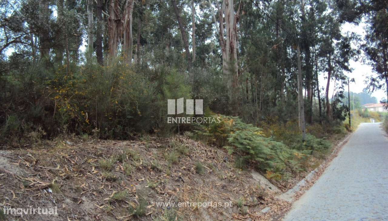 Venda Terreno, Vila Caíz, Amarante - Grande imagem: 5/9