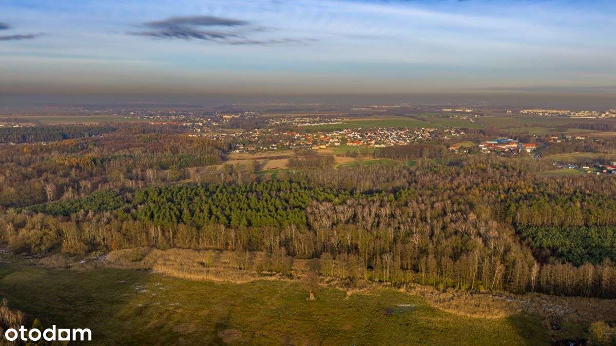 Działka Premium z prywatny lasem - 7,99ha-5