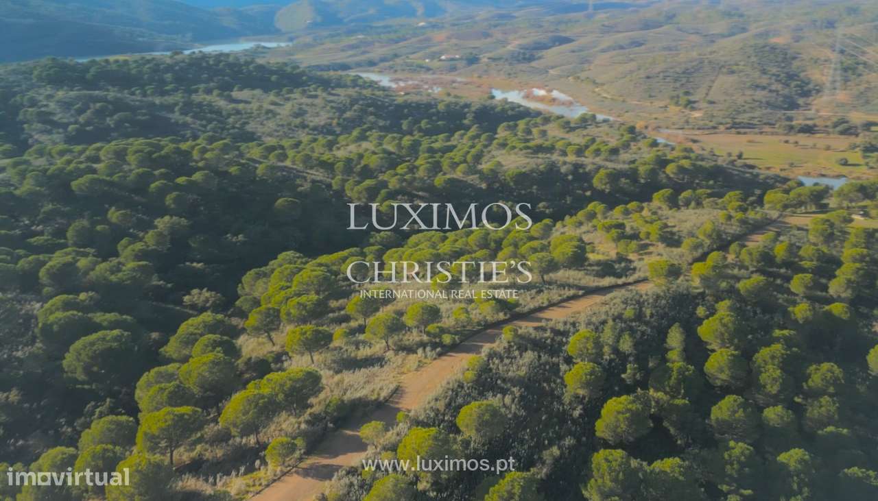 Herdade com ruínas, à venda em São Bartolomeu de Messines, Algarve - Grande imagem: 5/8